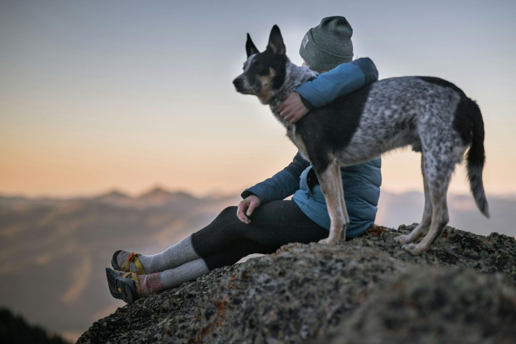 how my dog helped my mental health